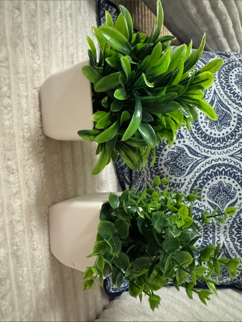 Amazon Faux Greenery Potted Succulent Duo in White Planters